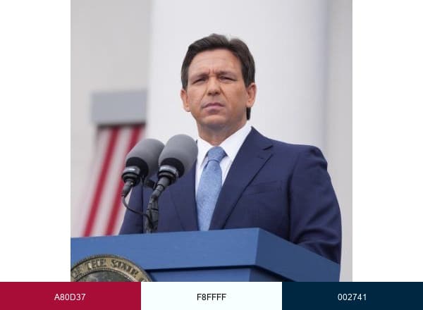 Ron DeSantis brand color palette