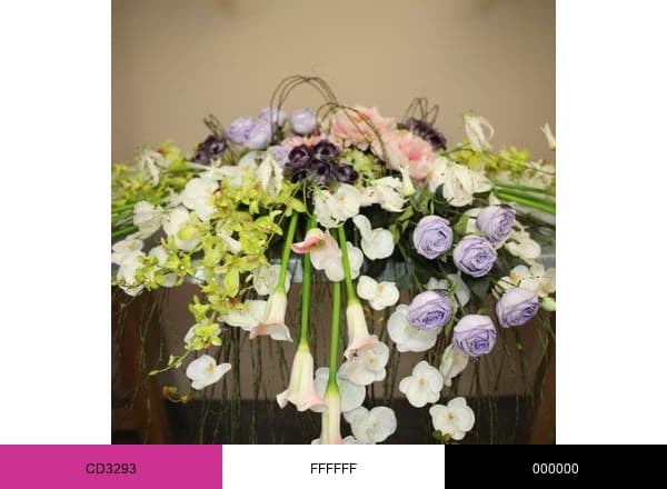 Flora Seda International Inc. brand color palette