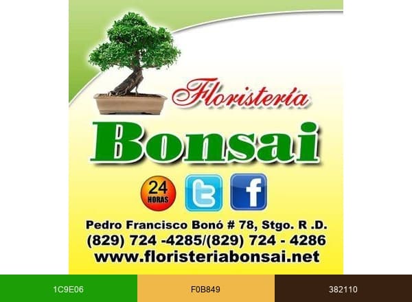 Floristería Bonsai RD brand color palette