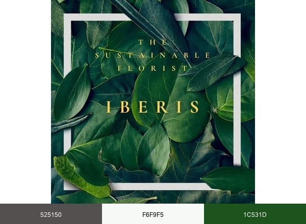 Flowers brand color palette