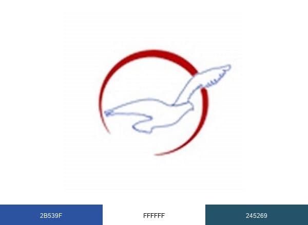 Air Peace brand color palette