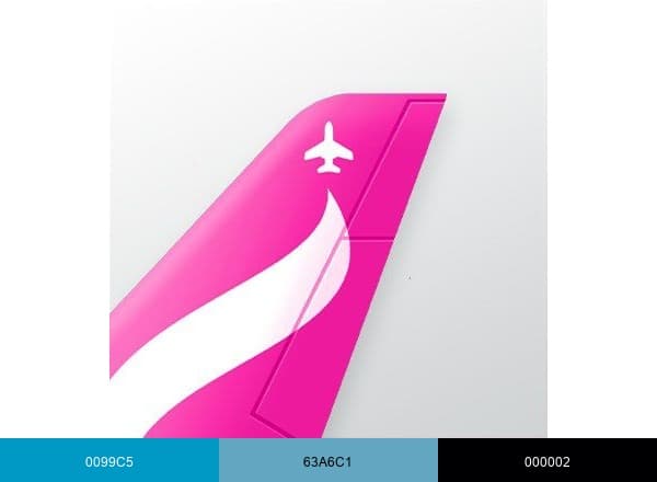 FlySwoop brand color palette