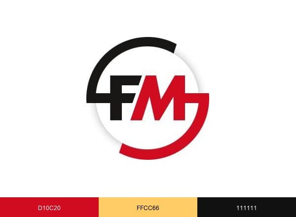 FM Scout brand color palette