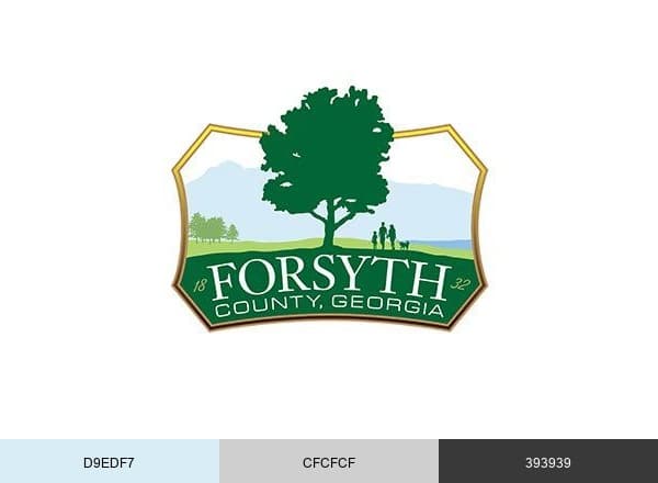 ForsythCountyGovernment brand color palette