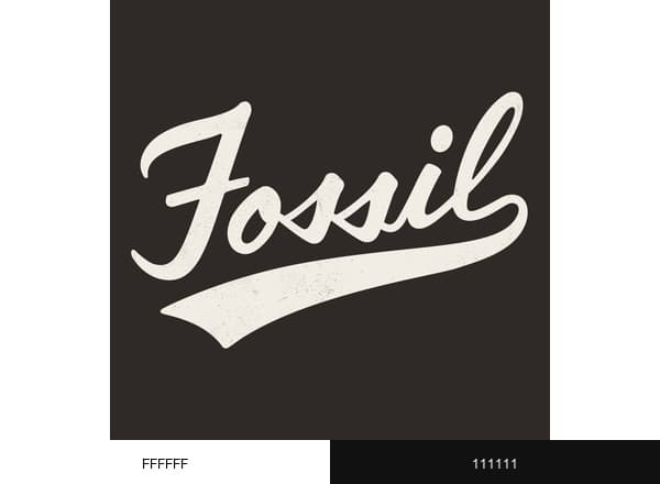 Fossil brand color palette