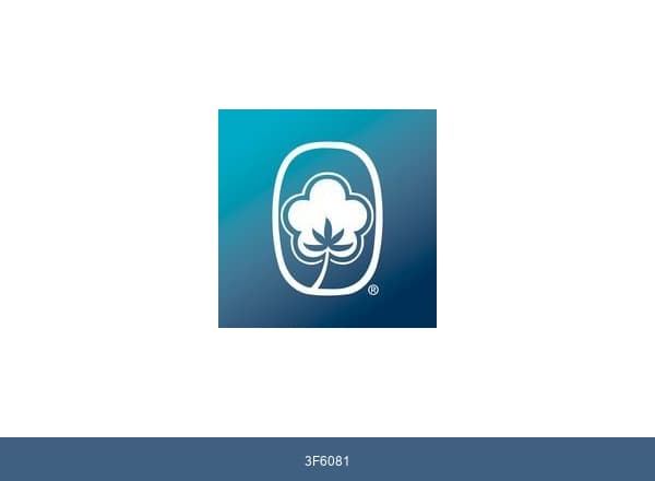 Founders Federal Credit Union brand color palette