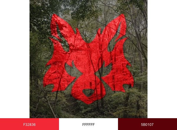 Fox Outdoor Products brand color palette