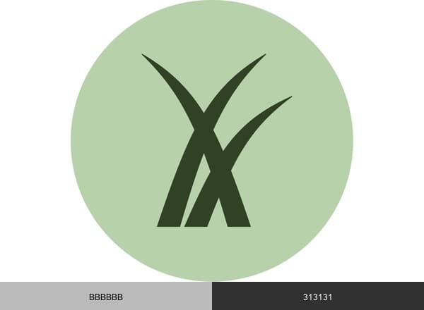 FRDM Turf brand color palette