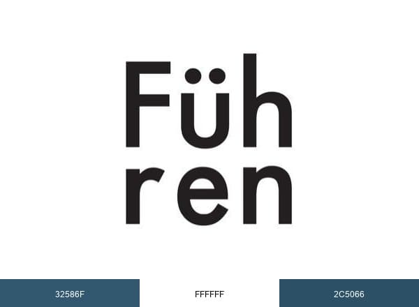 Führen Holdings Inc. brand color palette