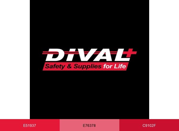 DiVal Safety Equipment brand color palette
