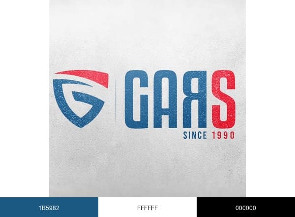 Gars Lubricants brand color palette