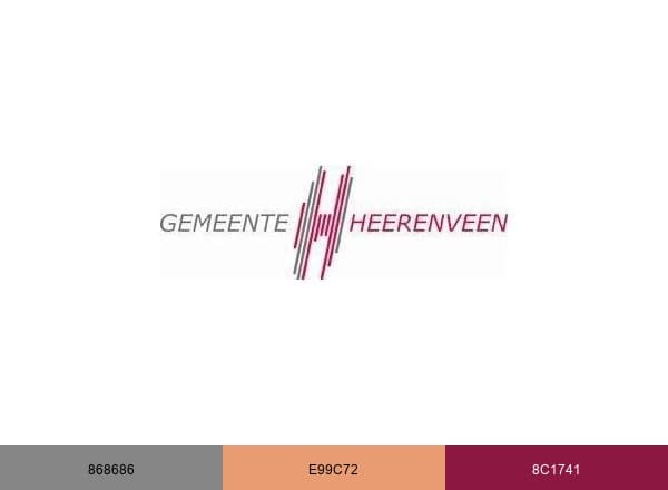 Gemeente Heerenveen brand color palette