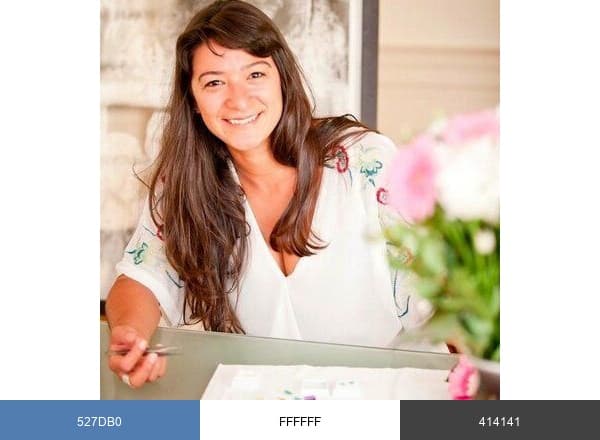 Maíra Toledo brand color palette