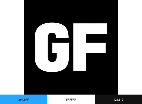 GuggenheimFoundation brand color palette