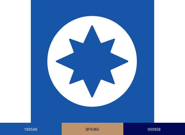 Global Citizen Solutions brand color palette