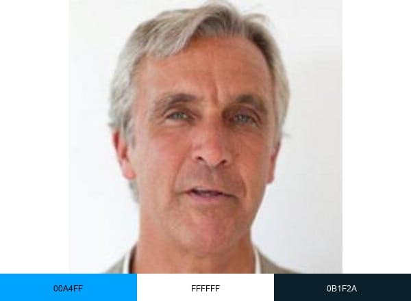 Global Coalition on Aging brand color palette