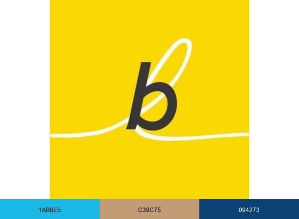 Brightline brand color palette