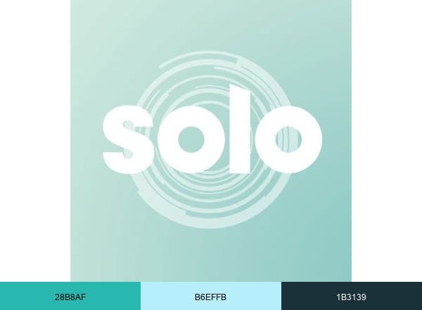 SOLO LLC brand color palette
