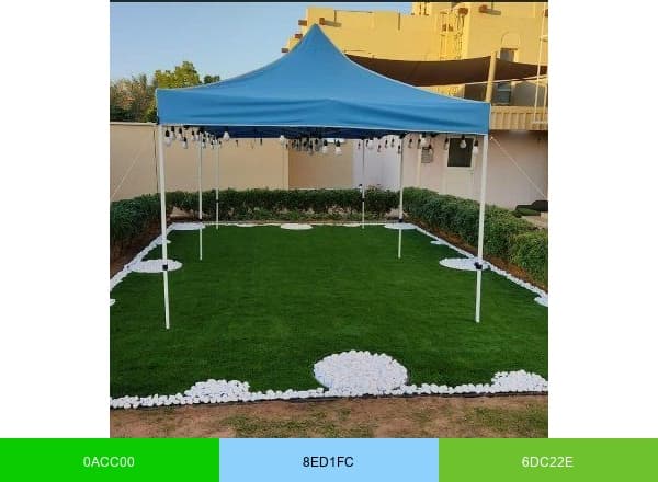 Grass Carpet Dubai brand color palette
