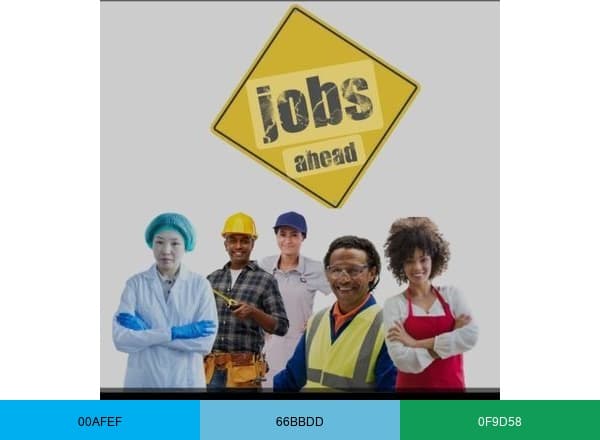 Jobs Jobs Zambia brand color palette