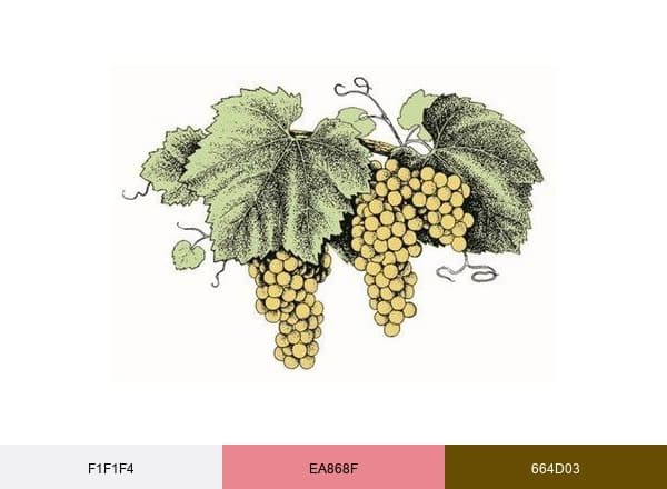 Grgich Hills Estate brand color palette