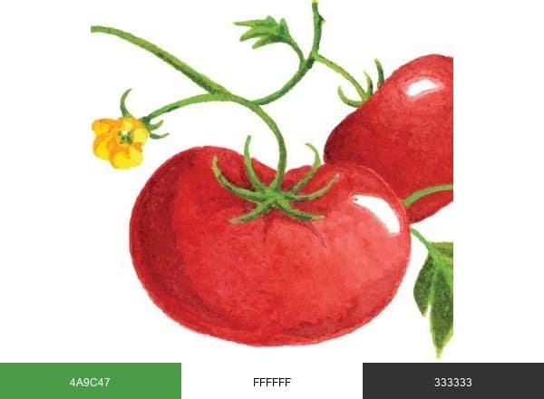 growOrganic.com brand color palette