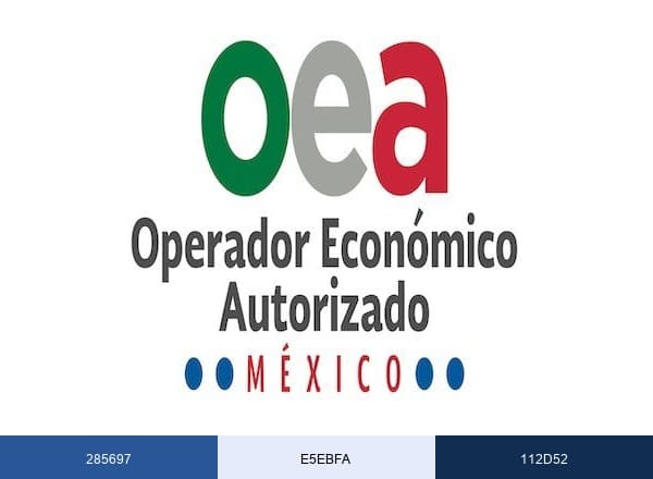 Grupo Aduanal OMG brand color palette
