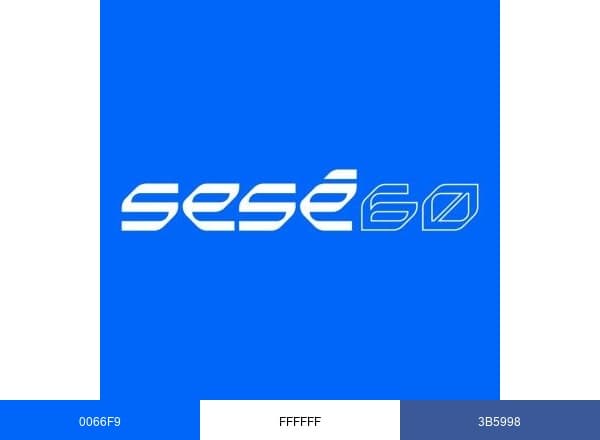 Grupo Sesé brand color palette