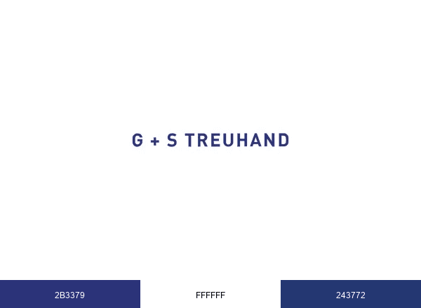 G S Treuhand brand color palette