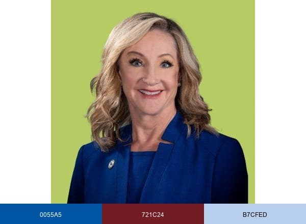 Harris County District Clerk brand color palette