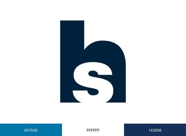 Healthcare Services Group brand color palette