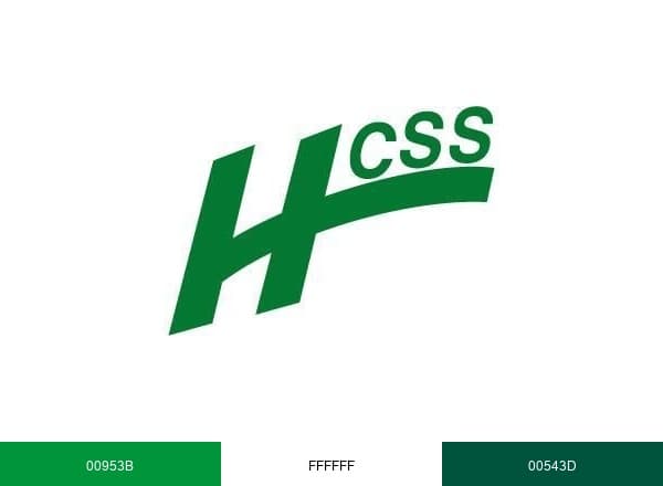 HCSS brand color palette