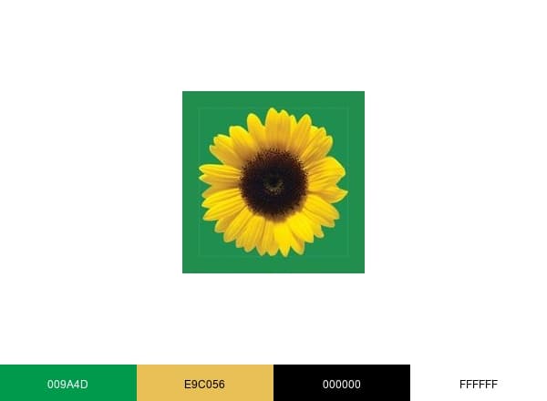 Hidden Disabilities Sunflower brand color palette