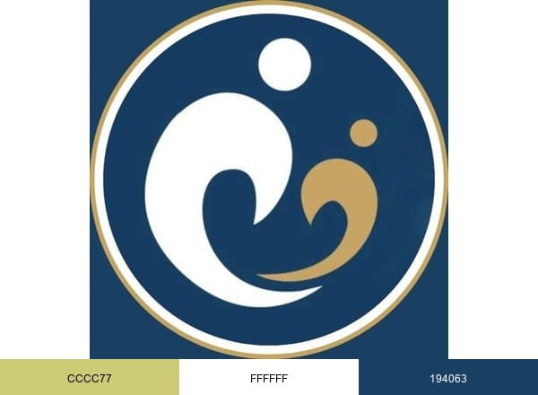 Healthcare Ireland Group brand color palette