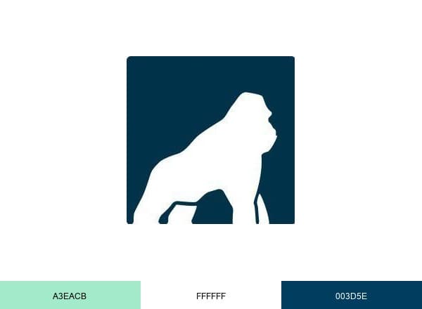 Health Gorilla brand color palette