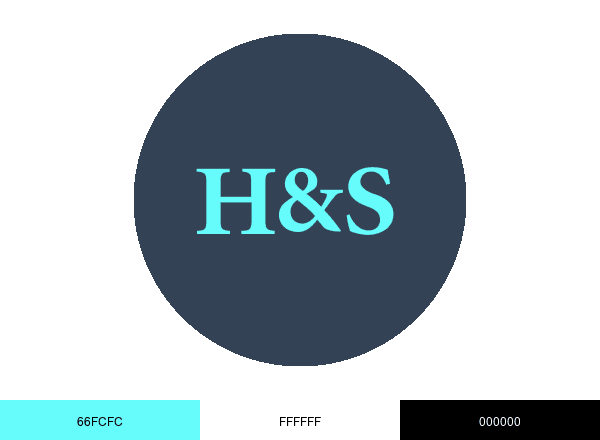 Heidrick & Struggles brand color palette
