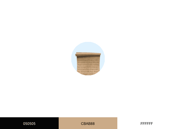 Heyimwill brand color palette