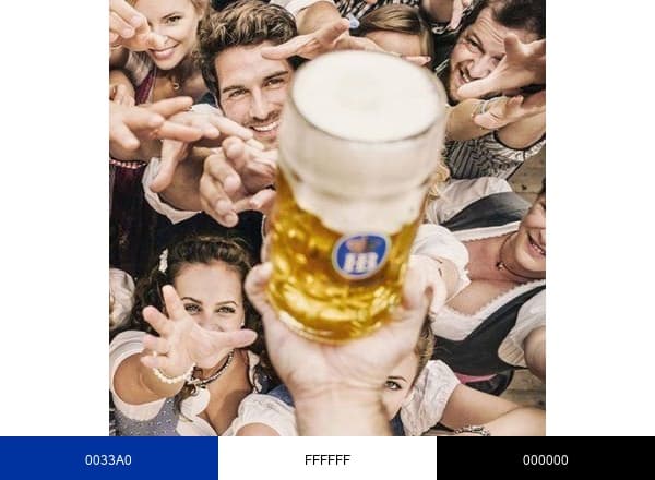 Hofbräu USA brand color palette