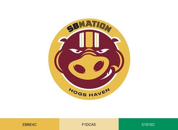 COMMANDERS FOOTBALL brand color palette