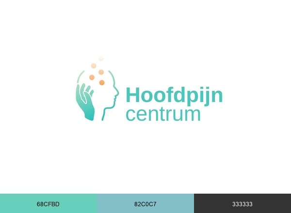 Hoofdpijn Centrum brand color palette