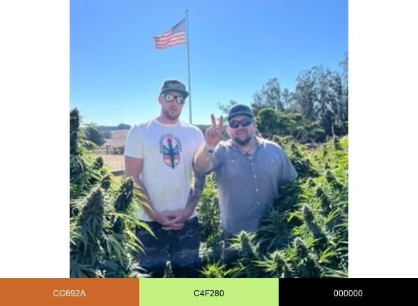 Humboldt Seed Co. brand color palette