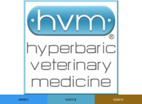Hvm brand color palette