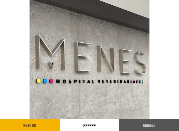 Nacho Menes Veterinary Hospital brand color palette
