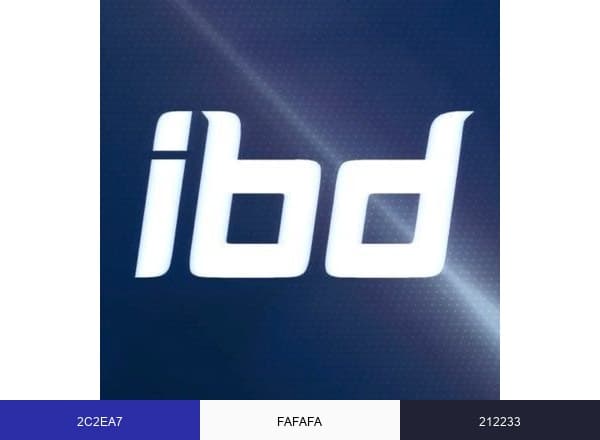 ibd Gaming brand color palette