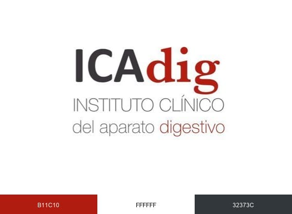 Instituto Clínico del Aparato Digestivo brand color palette