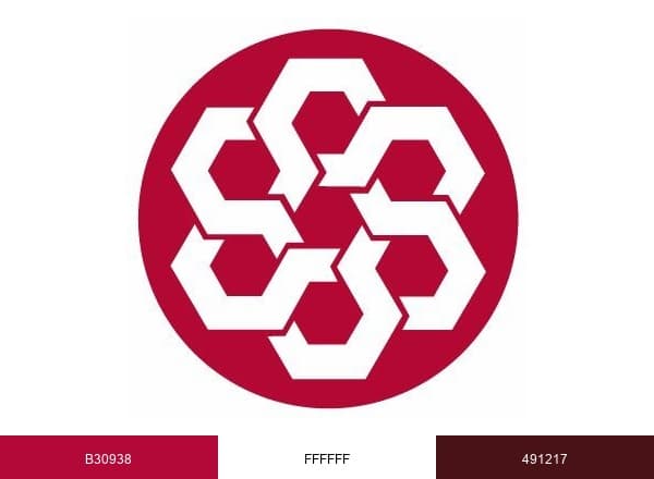 IFRS Foundation brand color palette