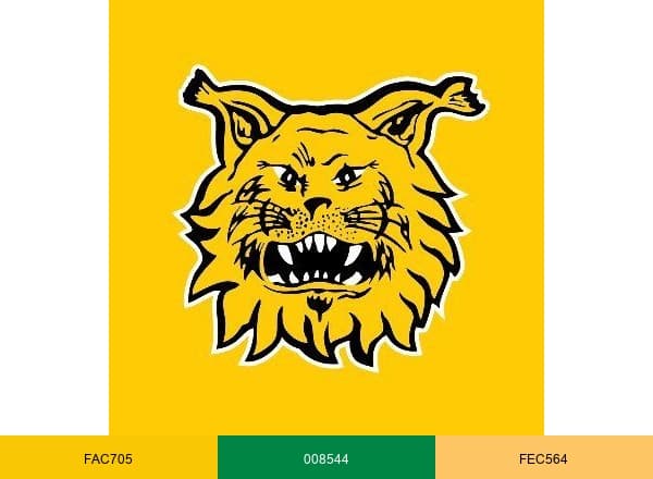 Ilves Football brand color palette