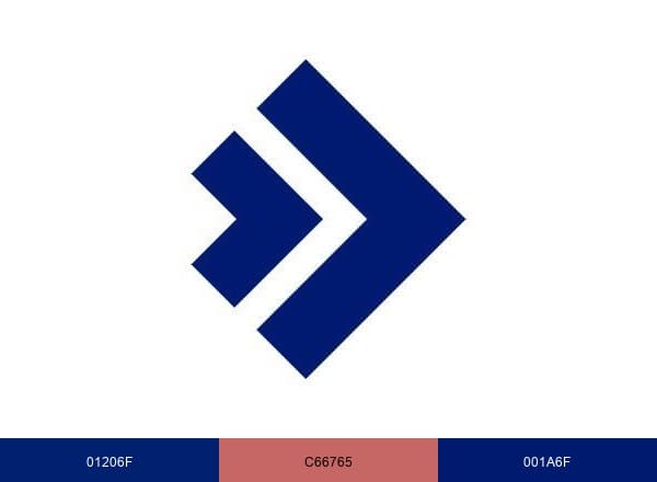 IMMIGRANT INVEST brand color palette