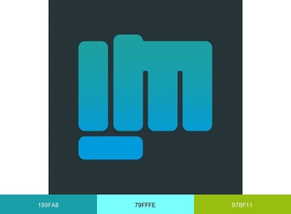 Impact Chile brand color palette