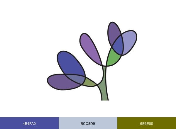 Indigo Ecological Design brand color palette